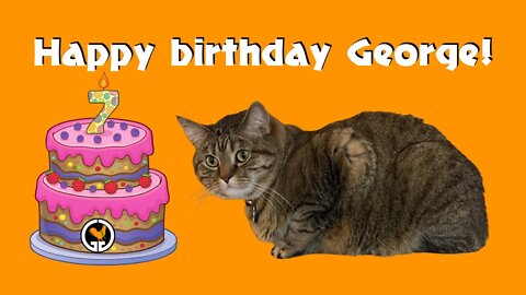 Happy 7th birthday to George!