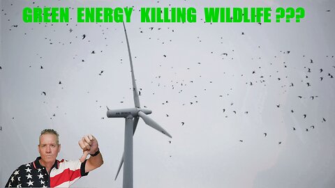 Is Green Energy Killing Our Wildlife?