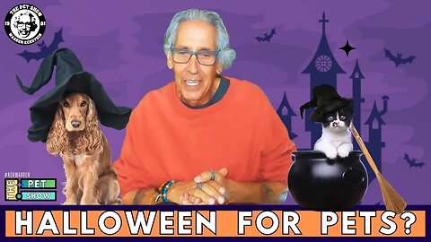 Pets Halloween Alert