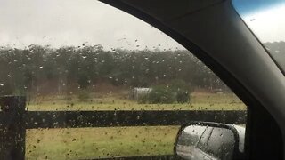 Went up to road to pick up something, came out and it was raining!