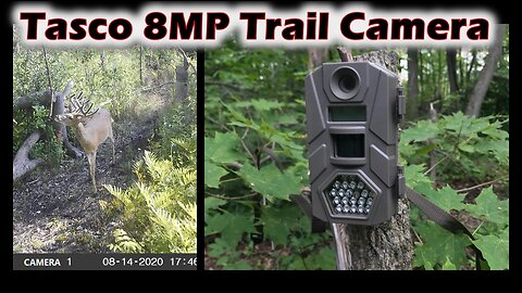 Tasco 8MP Trail Camera - Are Pictures Actually Good?