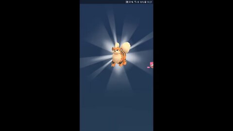 Live de Pokémon GO - Hora do Holofote