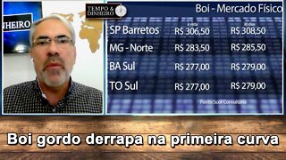 Boi gordo derrapa na primeira curva da entressafra com preços baixos para período