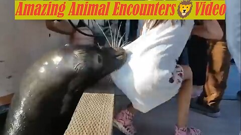 Amazing WILD Animal Encounters