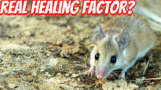 The Greatest Healing Adaptation In Nature!