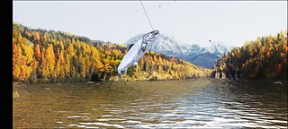 Fishing Clash - Kenai River