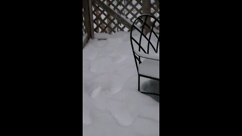 A little snow in the garden