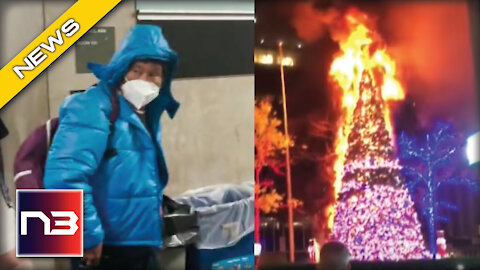 Christmas Tree Roasting On An Open Fire Man Responsible Released Without Bail