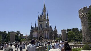 Tokyo Disneyland ￼