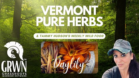 Vermont Pure Herbs Presents "Daylily" (Hemerocallis fulva)