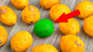 Qual desses 4 Limões Possui Mais Benefícios Pra Você?