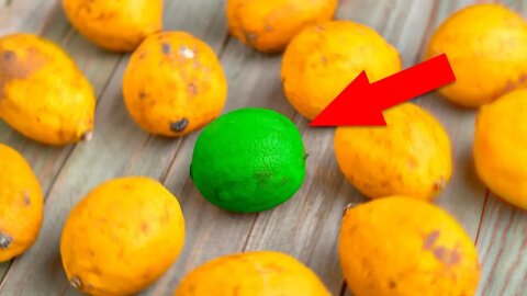 Qual desses 4 Limões Possui Mais Benefícios Pra Você?