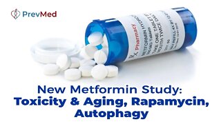 New Metformin Study: Toxicity & Aging, Rapamycin, Autophagy