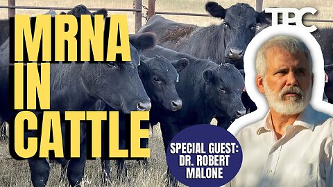 Cattle mRNA | Dr. Robert Malone (TPC #1,460)