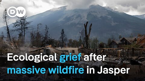 National mourning after monster wildfire spanning 36,000 hectares devastates Canadian town of Jasper