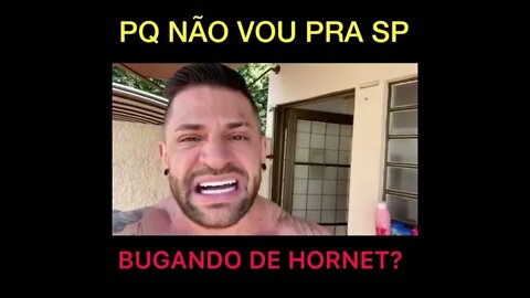 POR QUE NÃO VOU PRA SP?... #Shorts