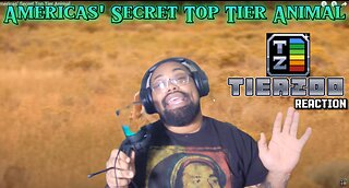 Americas' Secret Top Tier Animal | TierZoo Reaction