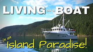 Living on a boat in an ISLAND paradise! [MV FREEDOM]