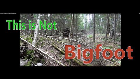 My Bigfoot Story Ep. 75 - New Experiments & Bigfoot Rant