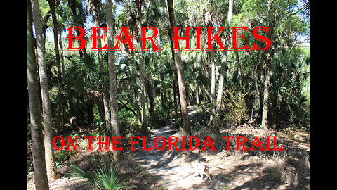 The Florida Trail