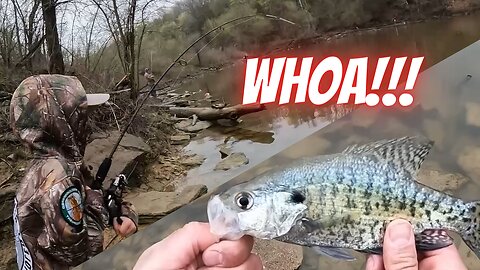 Spring Crappie Fishing in Kentucky | How to Get Your Kid's Heads Out of Their Screens