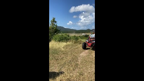 Vieques PR Buggy Rides!!!
