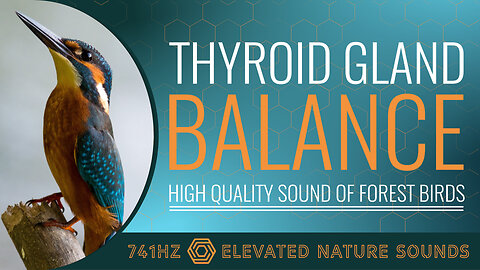 Thyroid Gland Balance 741Hz Elevated HQ Sound of Forest Birds Healing Relaxation Sleep