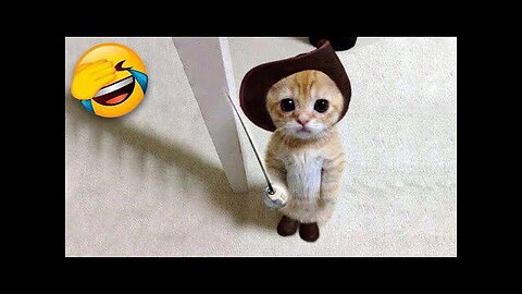 Funniest Cats and Dogs 🐶🐱 | Funny Animal Videos #9