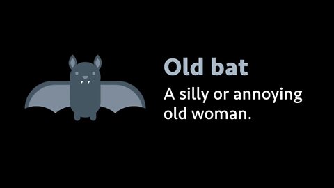 Slang: Old bat (meaning, examples, pronunciation)