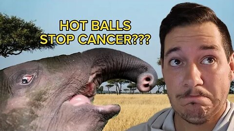 Elephant Testicles Preventing CANCER???