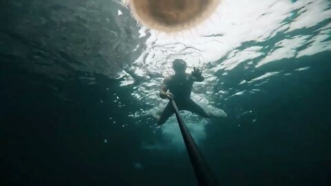 Getting stung by a massive Jelly Fish!!