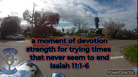 a moment of devotion strength for trying times that never seem to end Isaiah 11:1-6