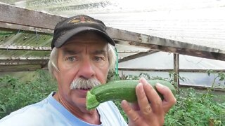 Preparing Veggies for Winter Use!