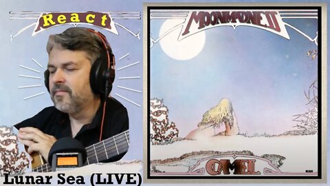 React to Camel | Lunar Sea Live | Moon Madness