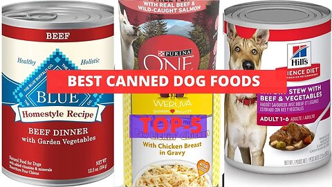 Best Canned Dog Foods | TOP Dog Food Brands to Save You From a Picky Eater