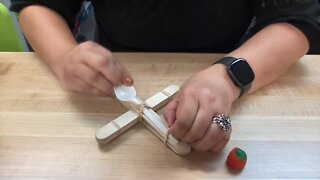 Science Sundays: Pumpkin Catapults