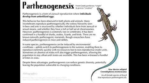 PARTHENOGENESIS MICHELLE 2 (Mirror by Jonathan Kleck)