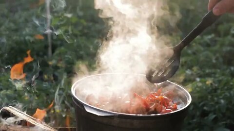 Crayfish cook in water with spices and herbs. Hot Boiled Crawfish. Lobster closeup855