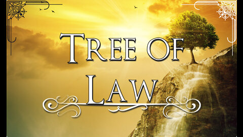 Tree of Law