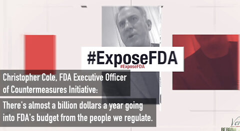 FDA Executive Officer Exposes Close Ties Between Agency and Pharmaceutical Companies, Part 2