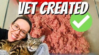Easy raw cat food recipes created by vets