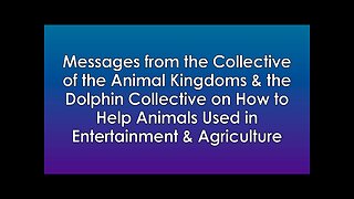 Messages from The Collective Of The Animal Kingdoms & The Dolphin Collective