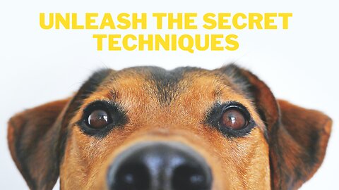 "Unlock Your Dog's Genius: Jaw-Dropping Training Techniques Revealed!"