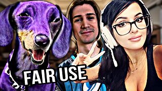 FAIR USE DOESN'T APPLY TO SSSNIPERWOLF