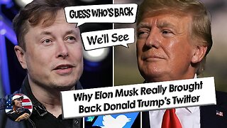 • Why Did Elon Musk Really Bring Back The Donald Trump Twitter Account?