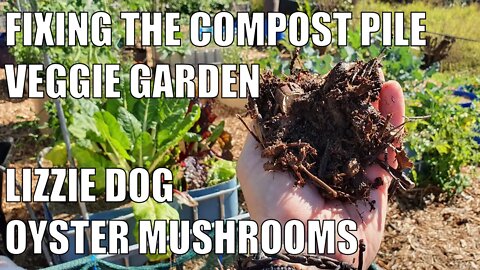 Reactivating a Compost Pile - Veggie Garden, Lizzie Dog & Oyster Mushroom Update