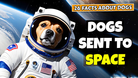 26 Incredible Facts About Dogs | Dogs Sent to Space | Dogs Can Dream