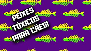 Peixes tóxicos para Cães | Dr. Edgard Gomes | Alimentação natural para Cães