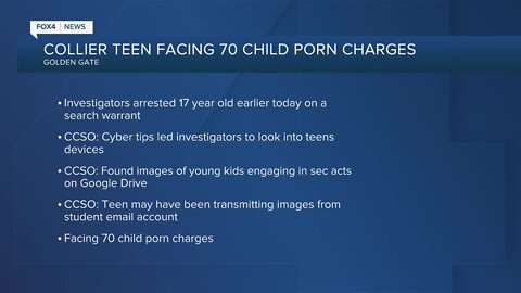 Teen arrested for over 70 child pornography charges