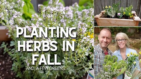 🌿 Planting Herbs in Fall | Fall Herb Planting 🌿